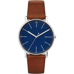 ساعت مچی اسکاژن SKW6355 - skagen watch skw6355  